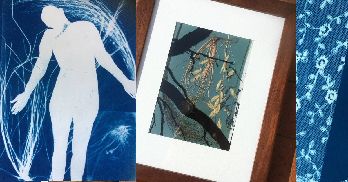 Cyanotypes – Printing Plants and Textures